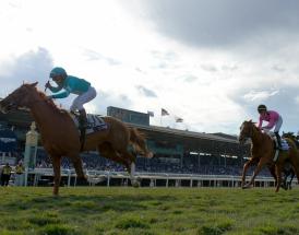 Betting Tips Horse Racing 2020 Cheltenham Festival