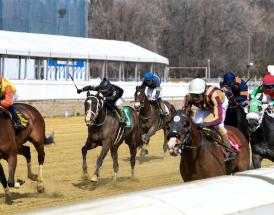 Naas Horse Racing 23rd March