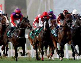 Supreme Novices' Hurdle 2020