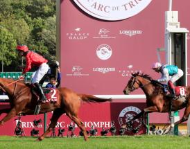 Horse racing in France - Beginner's Guide