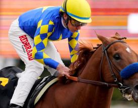 Horse Racing Tips Ebor York