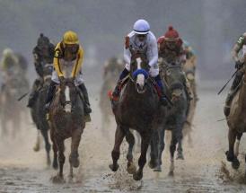 Horse Racing Betting Tips