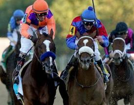 Best Horses To Follow Cheltenham 2021