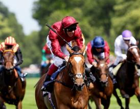 Triumph Hurdle Cheltenham Festival
