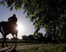 Cheltenham Results 2020 - Cheltenham Festival