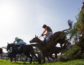 2021 Grand National Sweepstake kit