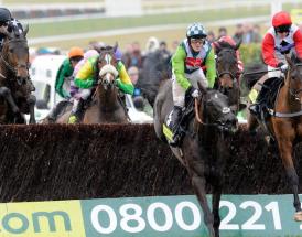 Cheltenham Gold Cup Winners List