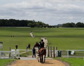 Classics Flat Racing