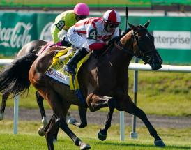 ITV Racing Tips This Weekend