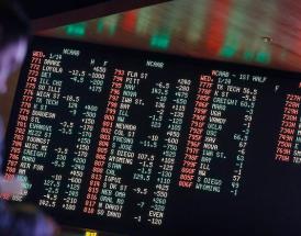Biggest sportsbook US 