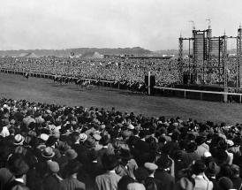 St Leger Trends history