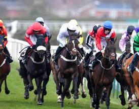 Trends and statistics on Haydock Betfair Chase