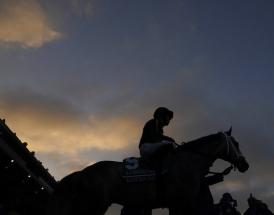 Fighting Fifth hurdle statistics