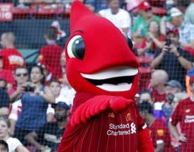 Mighty Red is the LFC Mascot