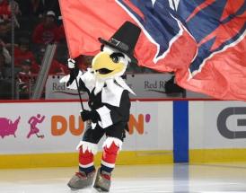 Best NHL mascots