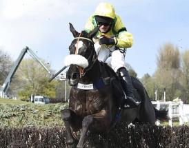 Ladbrokes Trophy statistics