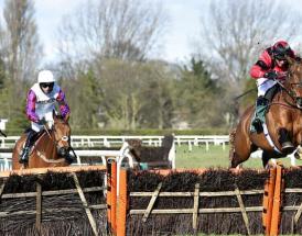 Kauto Star novices chase rematch