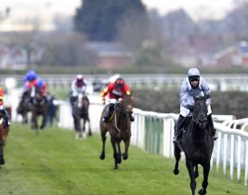 Golden Cygnet Novice Hurdle trends