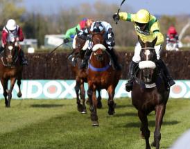 Silviniaco Conti Chase trends