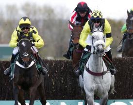 What is a horse tracker