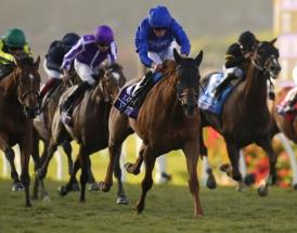 What is draw bias in racing