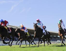 Bet on the 2022 QIPCO 1000 Guineas Newmarket