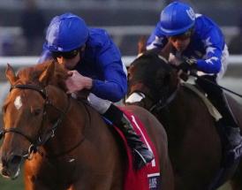 King's Stand Stakes Trends