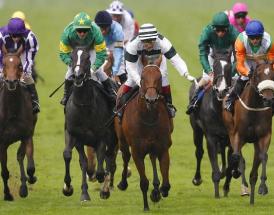 Queen Anne Stakes trends