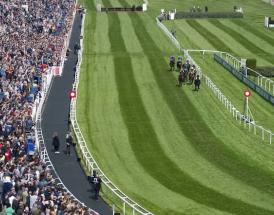 Gaillard du Mesnil National Hunt Chase contender