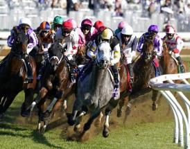 Horse Racing Tips Friday 17th June