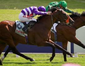 Horse Racing Tips Friday 15th July