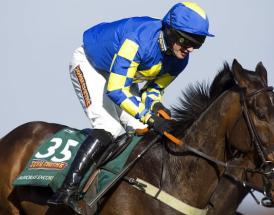 Aintree Grand National north west England - Auroras Encore