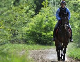 Horse racing racecourse