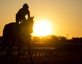 Point to Point graduates jumps season
