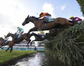 Steve Mullington favourite live races