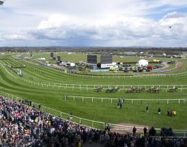 My view on the Racing League