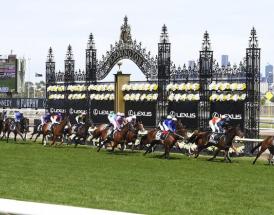 Melbourne Cup tips, trends and stats