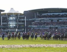 Venetia Williams horses in training