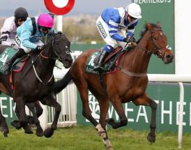 Horse racing charities