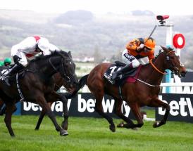 Cheltenham Festival 2023 entries