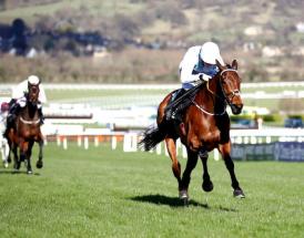 Cheltenham Festival ante post picks
