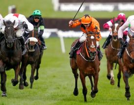 Horse Racing Sports Trends