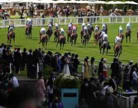 Commonwealth Cup trends