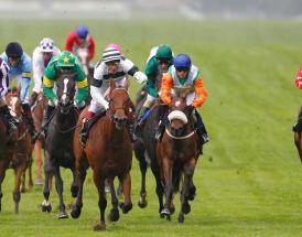 Statistics Coronation Stakes at Royal Ascot