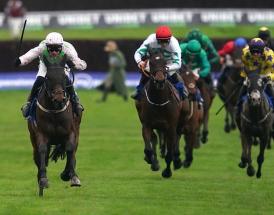 Arkle Trends and Stats