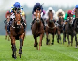 Best female jockey - Hollie Doyle