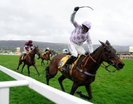 Mares Novice Hurdle Trends