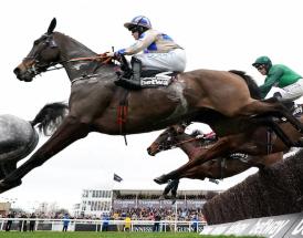 Champion Chase stats and trends