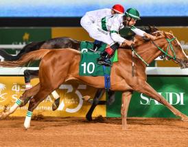 The Saudi Cup is one of the richest horse races