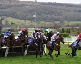 Supreme Novices Hurdle Trends